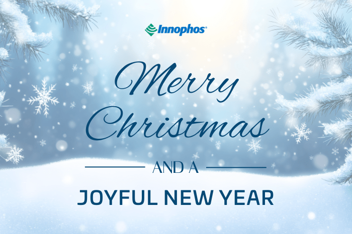 Merry Christmas and Joyful New Year greeting with snowflakes.